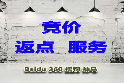 从小白到高手：百度竞价赚钱全记录