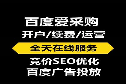 成功案例揭秘：百度SEO推广公司如何助力企业品牌建设
